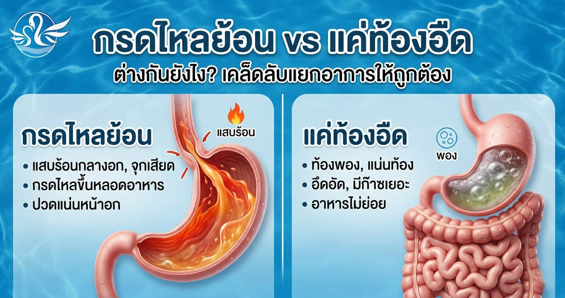 กรดไหลย้อน vs แค่ท้องอืด ต่างกันยังไง?